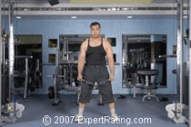 Cable Lateral Raise Gym Training