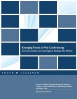 Frost & Sullivan Global Analysis of Web Conferencing Market - An Executive Summary