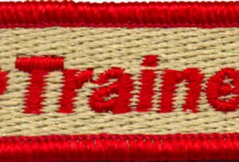Boy Scout Training online