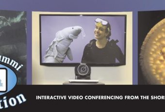 Interactive Videoconferencing