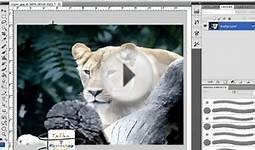 computer software Photoshop training learning in Urdu