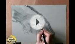 How to draw animals : Alligator, real time art video (part