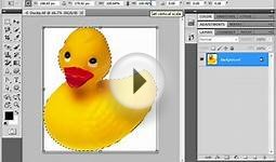 Photoshop CS5 Tutorial The Free Transform Command Adobe