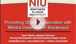 Promoting Online Collaboration with Wimba Classroom in