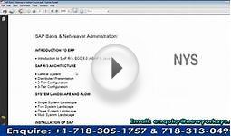 SAP BASIS AND NETWEAVER Administration Online Training