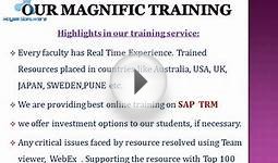 sap treasury and risk management(TRM)online training