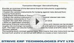 SAP TREASURY & RISK MANAGEMENT ONLINE TRAINING - STRIVE